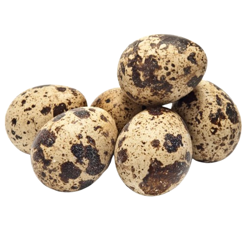 Huevos de codorniz