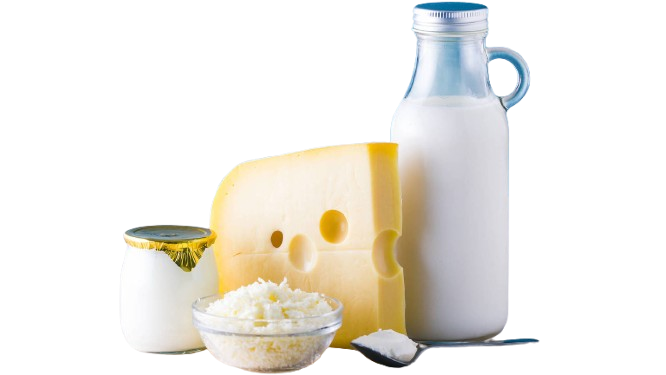 Productos lácteos en Medellín